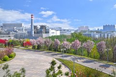 河钢集团唐钢公司低压控制柜、PLC控制柜、中控室系统